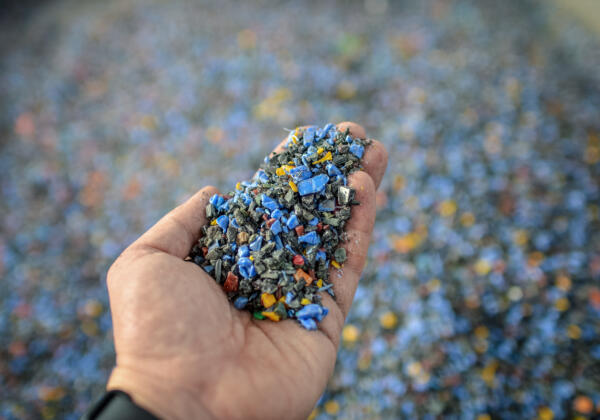 Hand Holding Recycled Plastic Chips