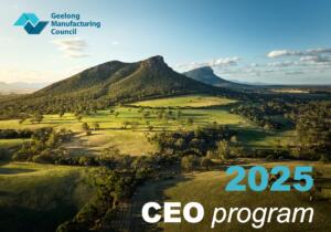 2025-ceo-program