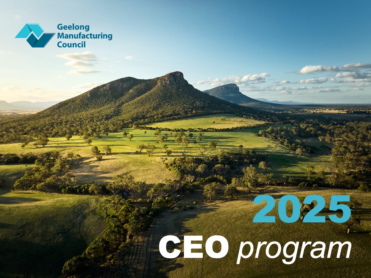 2025-ceo-program