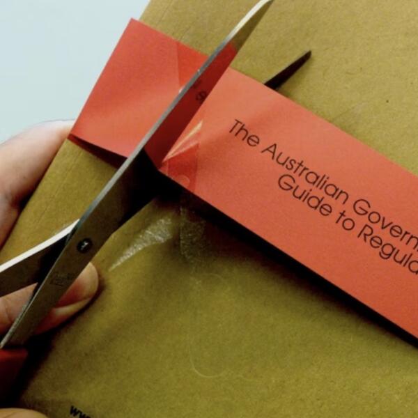 Government Regulation Red tape